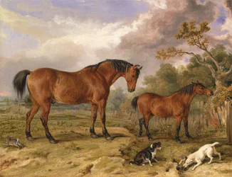 Retrato de Reformer, Blucher, Tory y Crib, propiedad de Rowland Alston, Esq., M.P.